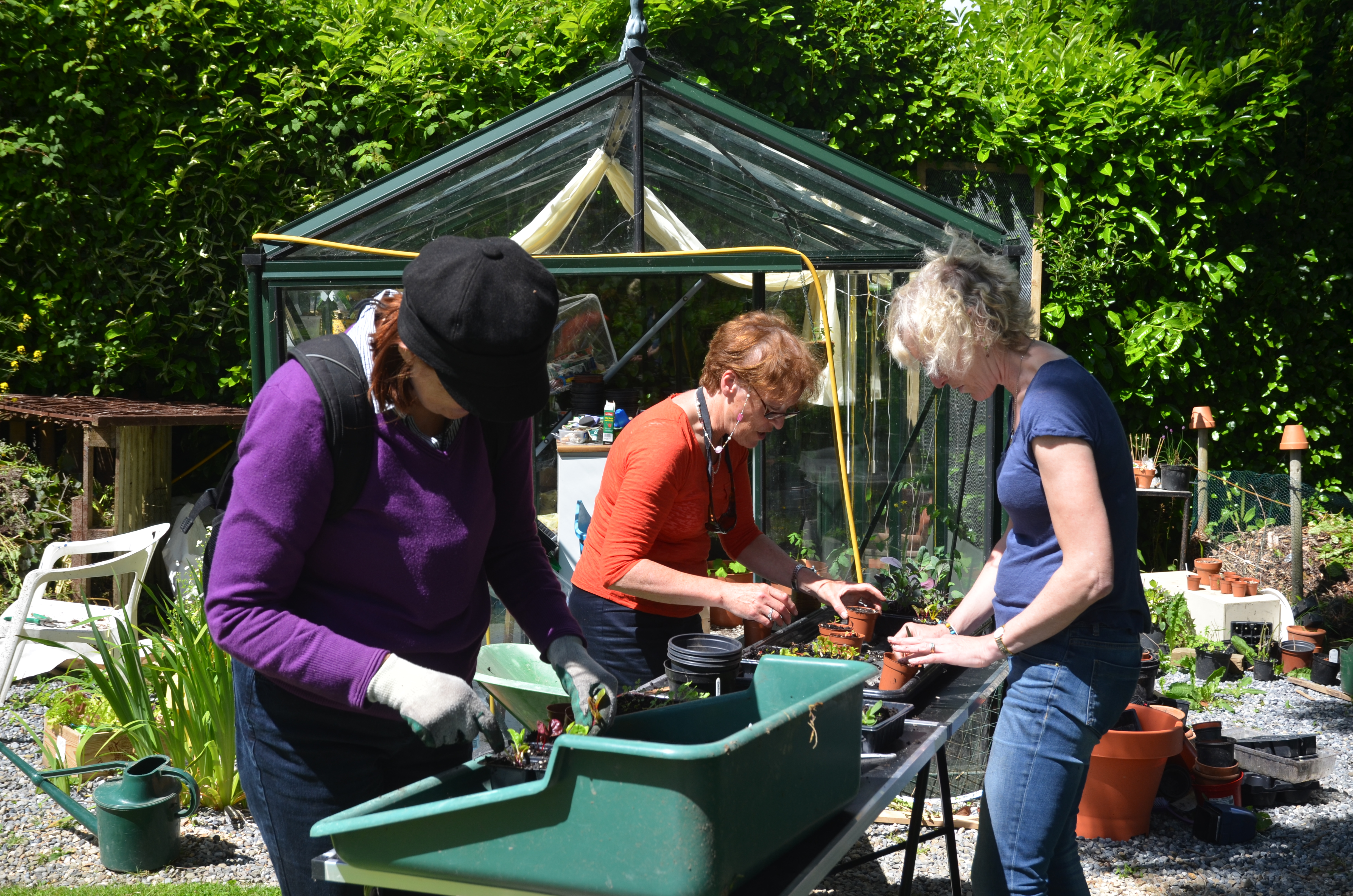 Students working in Dalkey Garden School,Dalkey, Co. Dublin