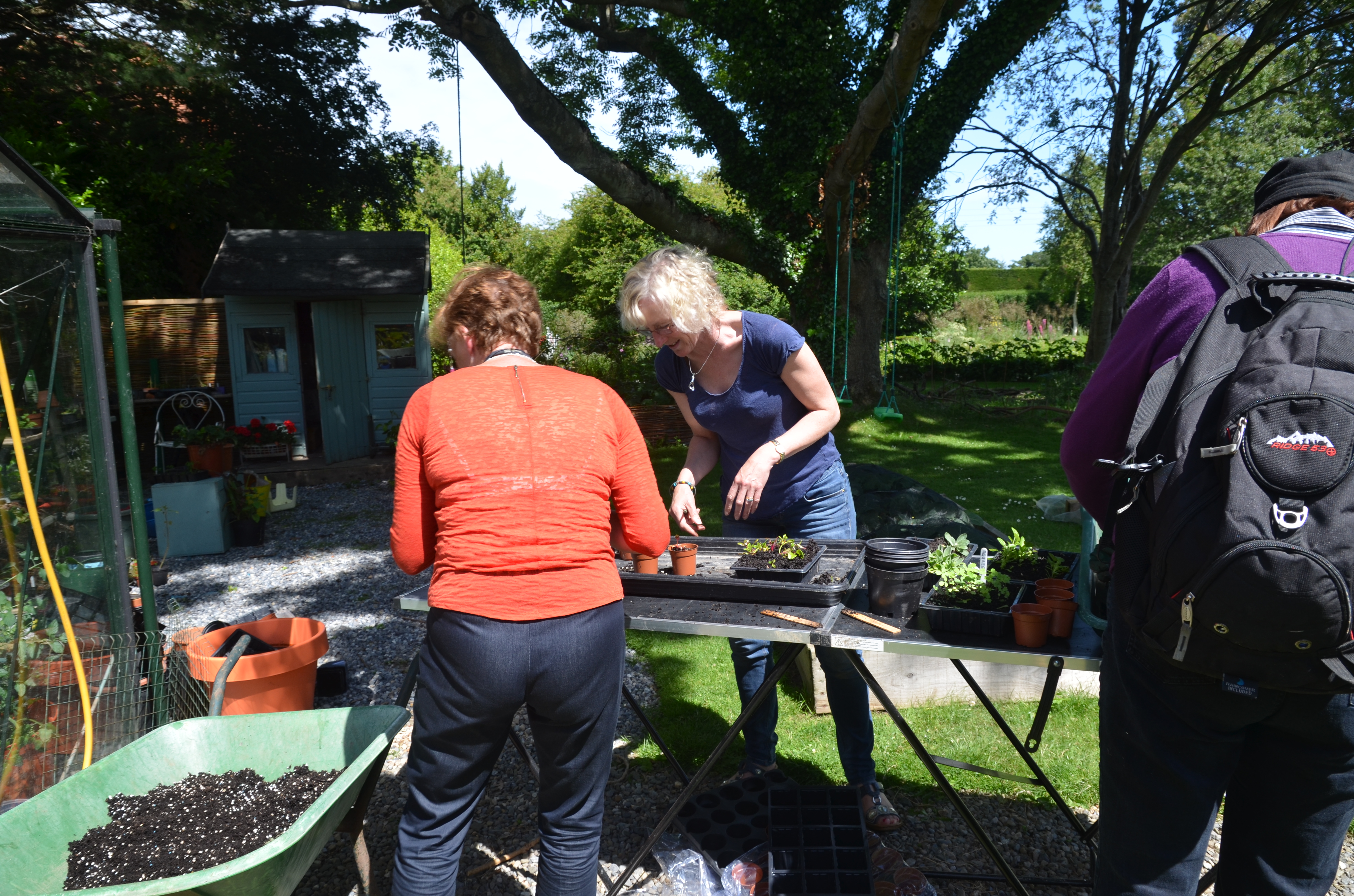 Students working in Dalkey Garden School,Dalkey, Co. Dublin