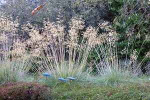 Garden in Autumn