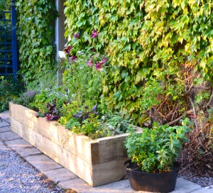 Raised Herb Bed