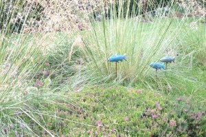 Dalkey-Garden-School-Gardening-Border