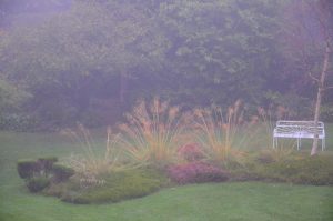 Dalkey-Garden-School-Mist-BG