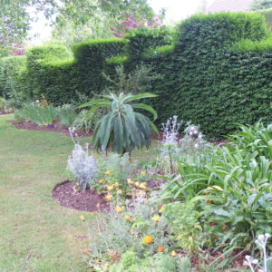 The Garden in May
