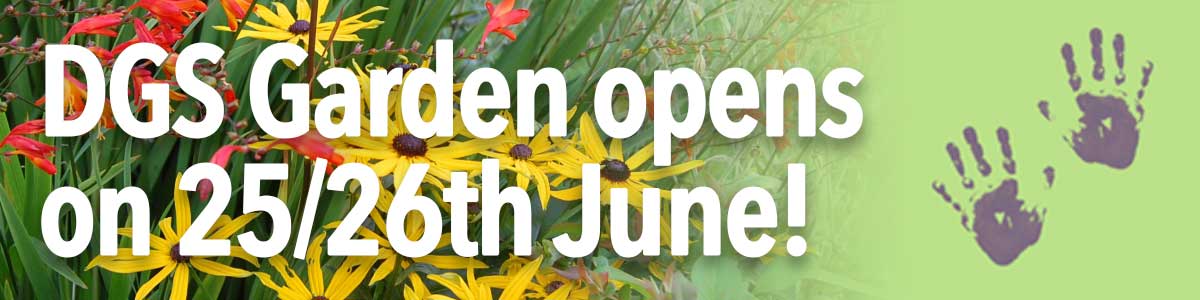 Dalkey-Garden-School-Garden-Opening-Times-25-26-june