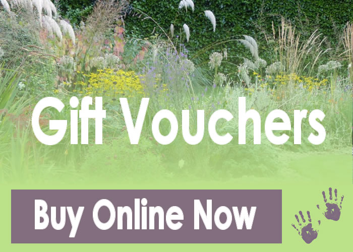 Gardening Gifts, Vouchers