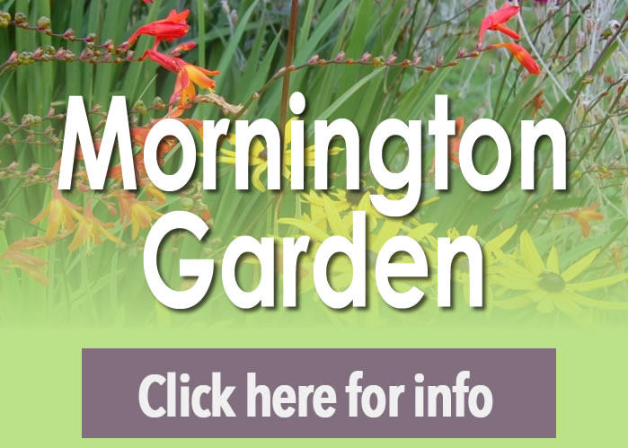 Dalkey Garden Morington Open Garden Opening Times