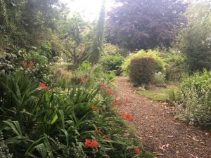 2AB00E7D-7012-4F9F-A9AE-078D52FA1F2D