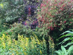 9F21737C-EF5C-4BDD-B0A7-0991626BDE61