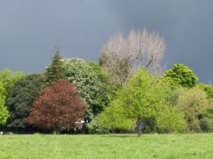 DSCF3122-e1415917422111    